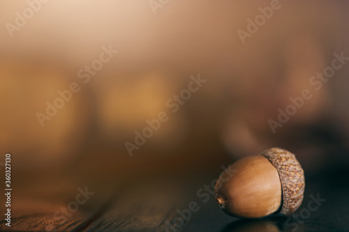 Close up of an acorn on a dark rustic wood table for fall decoration