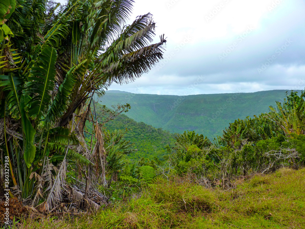 Black River Gorges national Park, Mauritius Black River Gorges national Park, Mauritius