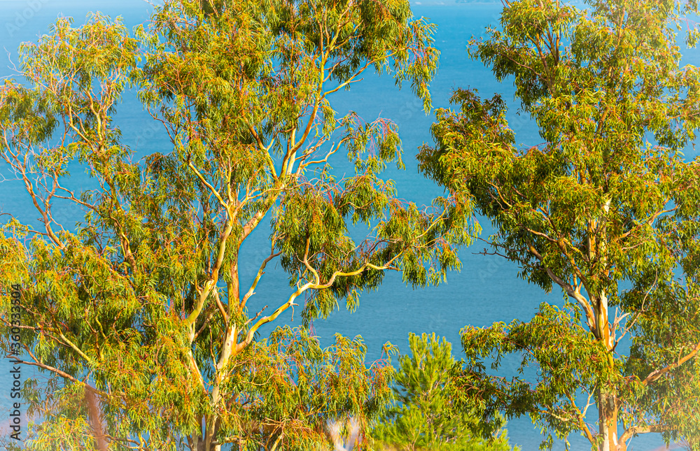 Fototapeta premium Zingaro Nature Reserve, near San Vito Lo Capo in the Sicilian region of Trapani, Italy. 