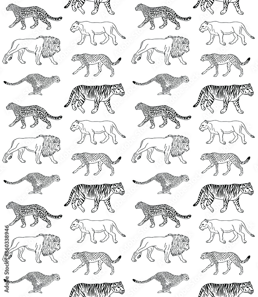 Vector seamless pattern of hand drawn doodle sketch wild cats isolated on white background