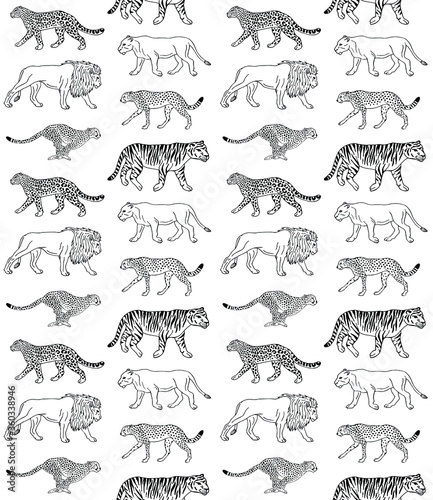 Vector seamless pattern of hand drawn doodle sketch wild cats isolated on white background