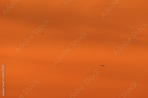 silhouettes of a kite and an airplane  which appear to be on the same plane  flying under an orange sky during dusk 