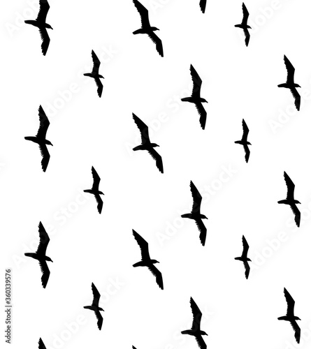Canvas Print Vector seamless pattern of black seagull birds flock silhouette isolated on whit