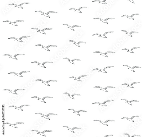 Vector seamless pattern of hand drawn doodle sketch seagull flock isolated on white background