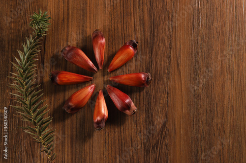 Typical araucaria seeds used as a condiment in Brazilian cuisine in winter. Top view Brazilian pinion on wooden background