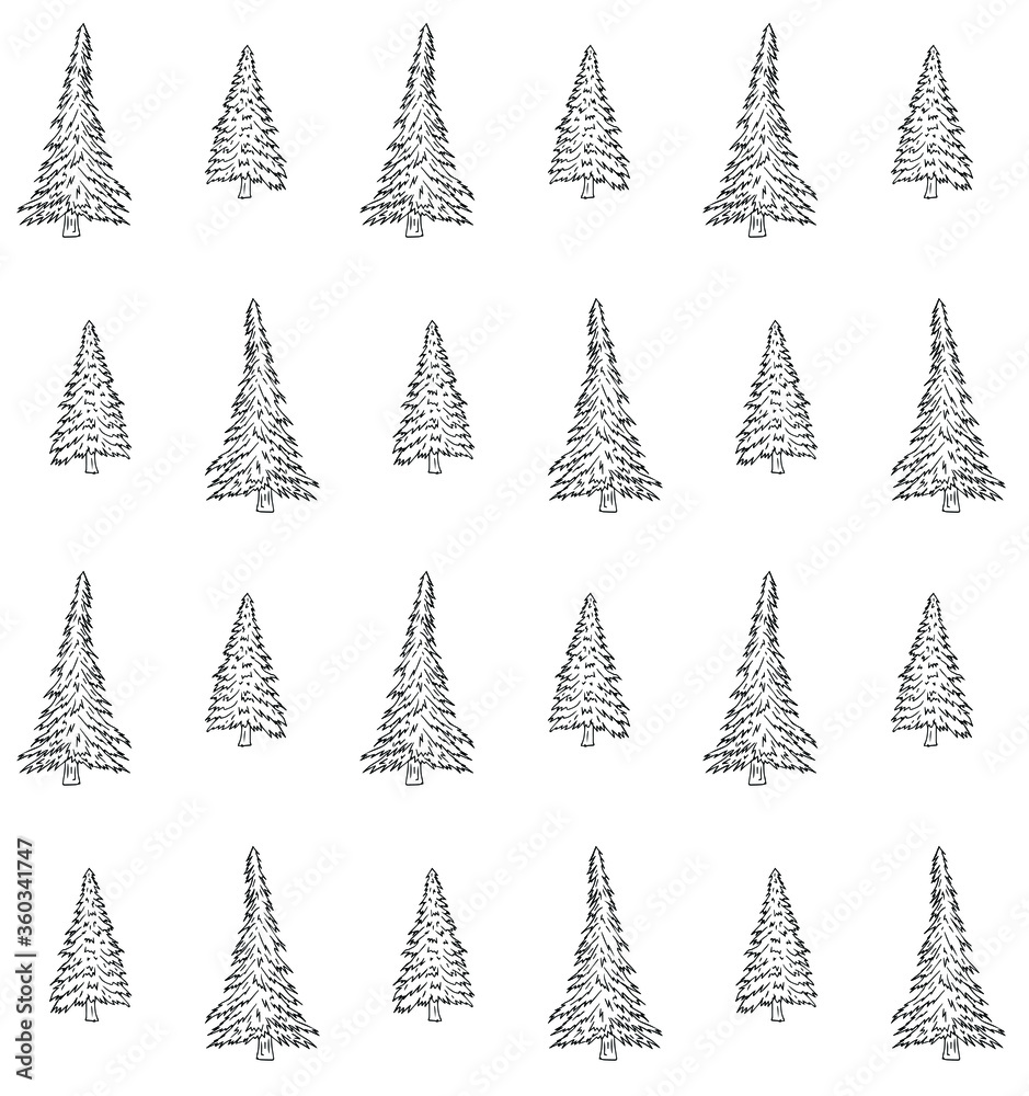 Obraz premium Vector seamless pattern of hand drawn doodle sketch spruce tree isolated on white background