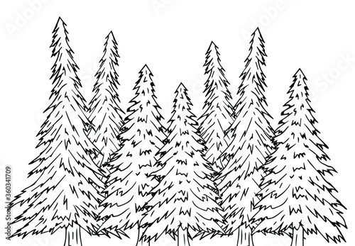 Vector hand drawn doodle sketch spruce tree forest isolated on white background