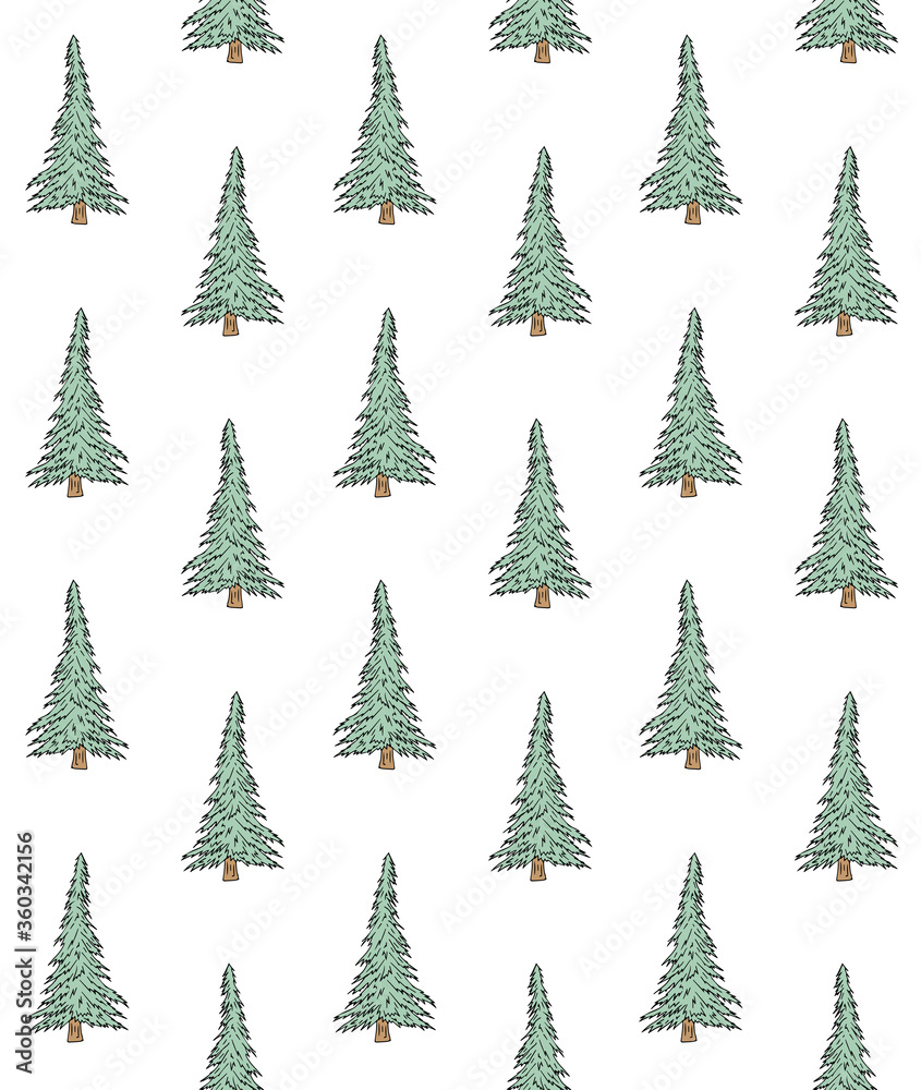Obraz premium Vector seamless pattern of colored hand drawn doodle sketch spruce tree isolated on white background