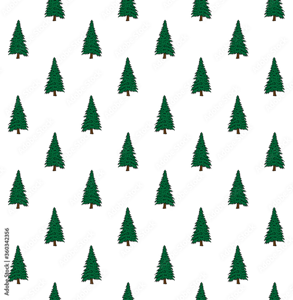 Obraz premium Vector seamless pattern of green colored hand drawn doodle sketch spruce tree isolated on white background
