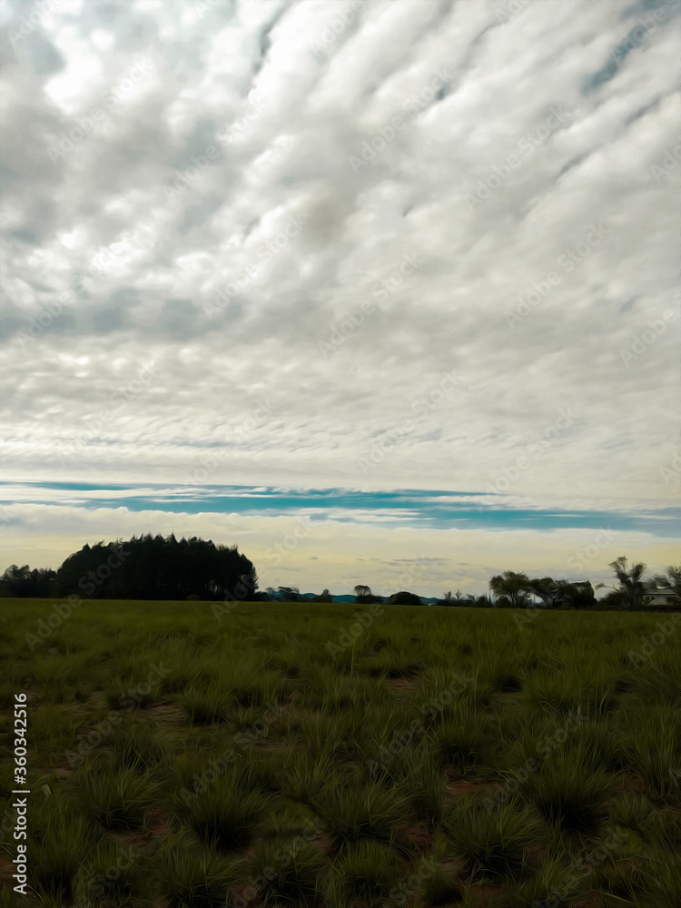 landscape with trees and clouds