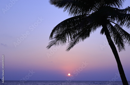 Sunset from Patong beach. Thailand. View of the summer season along with the palm trees fund in Phuket.