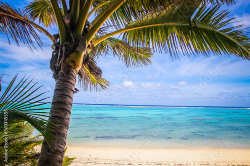 Rarotonga stunning beautiful beaches  white sand  clear turquoise water  blue lagoons  Cook islands  Pacific islands