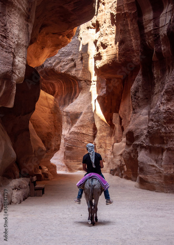 Donkey safari in Petra, Jordan