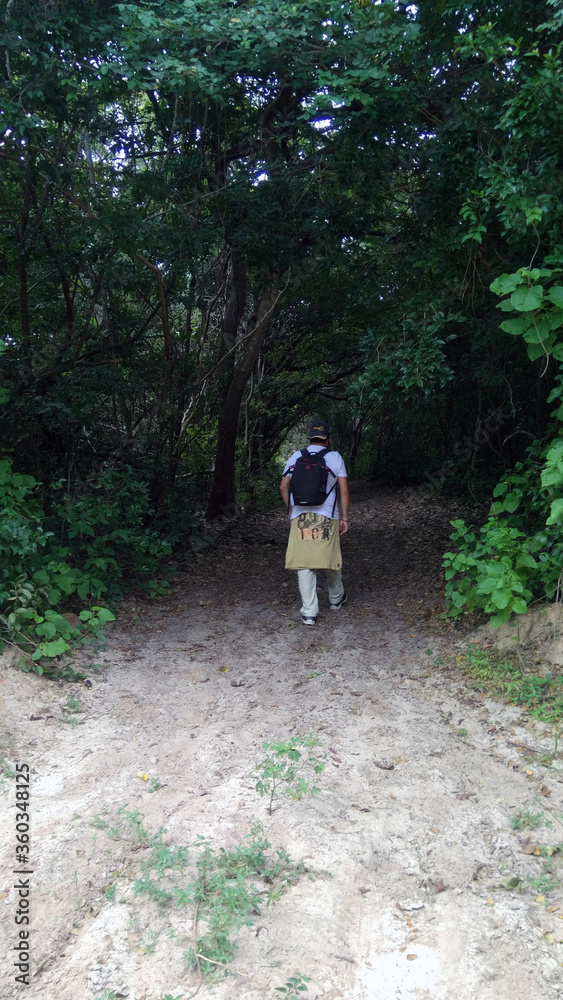 Obraz premium walking in the woods