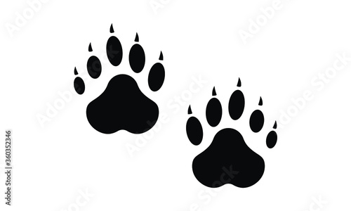 Cute pair of raccon paw prints