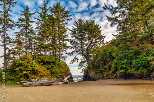A surfer standing in the distance on the beach in Tofino Canada