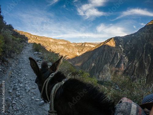 horseback in a path in the middle of a mountain