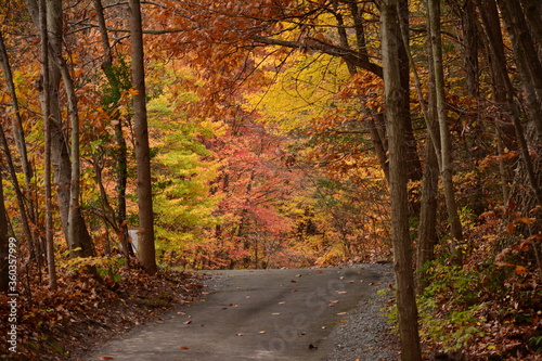Autumn colors in Virginia © Jim