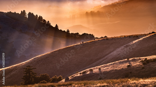 Sunset landscape with sun rays illuminating hills and valleys in Santa Cruz mountains; San Francisco Bay Area, California photo