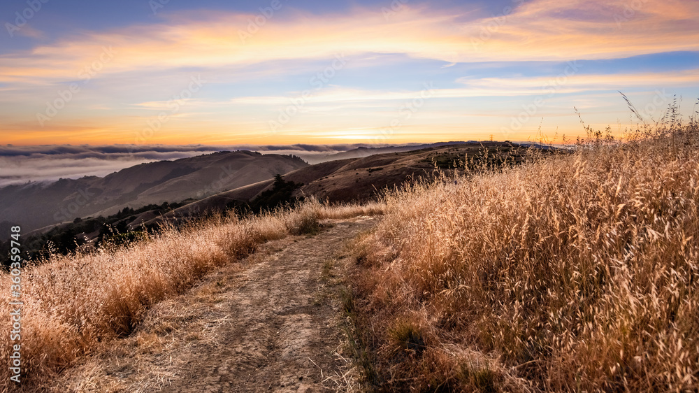 Sunset view of hiking trail on the hills of Santa Cruz mountains; San Francisco Bay Area, California
