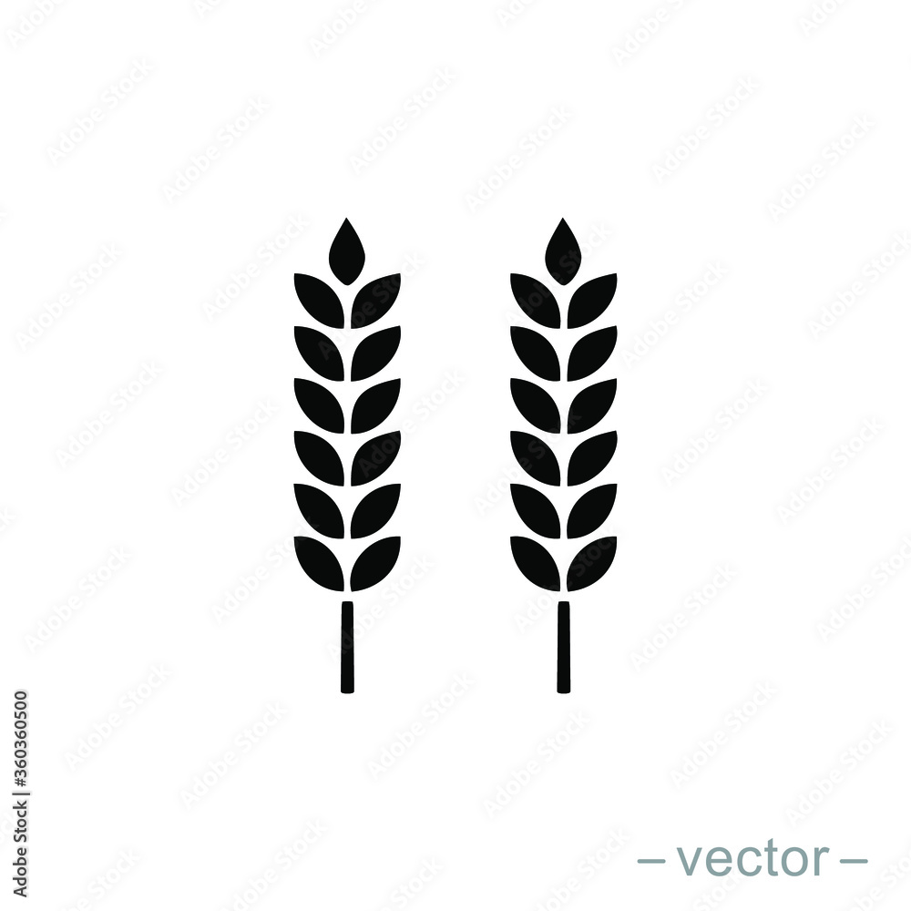 Vector farm wheat ears icon template. Line whole grain symbol illustration for organic eco business, agriculture, beer, bakery. Gluten free logo background Vector farm wheat ears icon template. Line whole grain symbol illustration for organic eco business, agriculture, beer, bakery. Gluten free logo background
