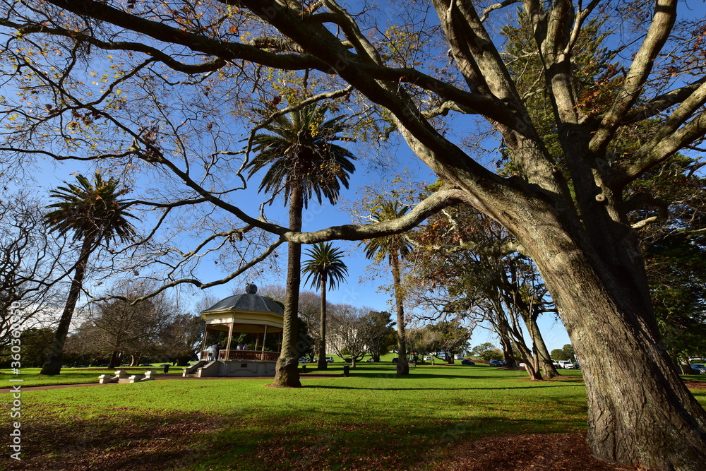Auckland Domain park with beautiful landscape and garden gazebo Auckland Domain park with beautiful landscape and garden gazebo