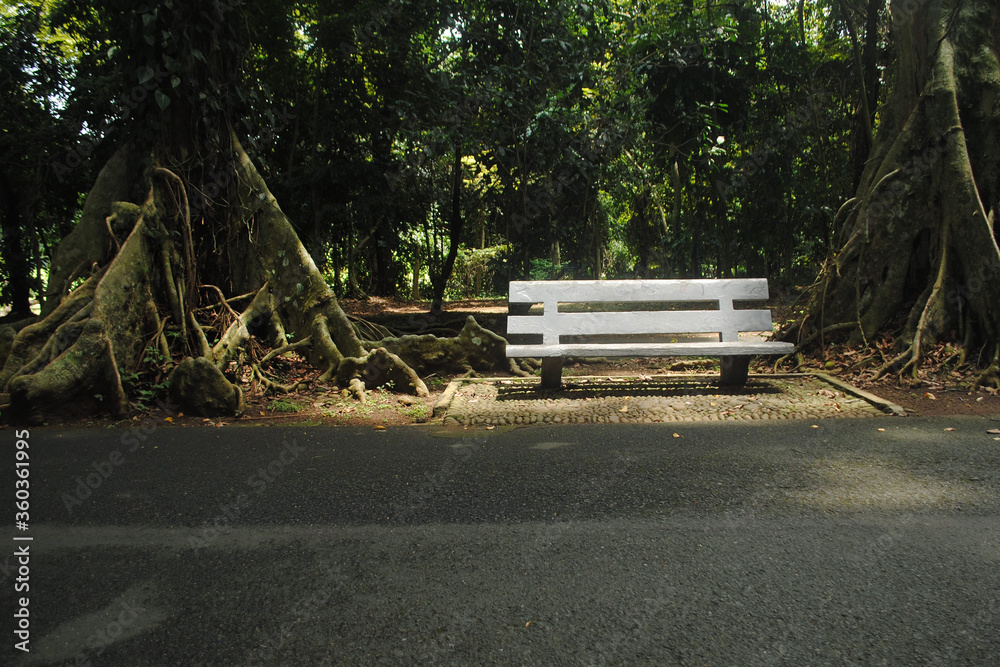 Fototapeta premium bench in the park