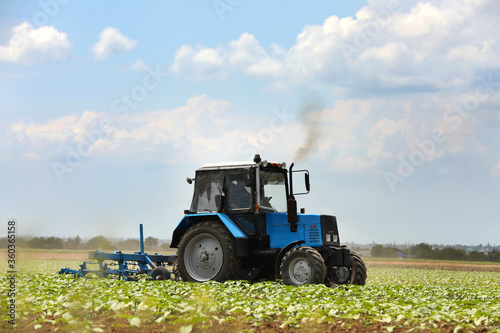 Modern tractor cultivating field of ripening sunflowers. Agricultural industry © New Africa