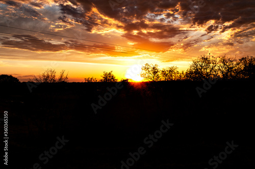 sunset over the field