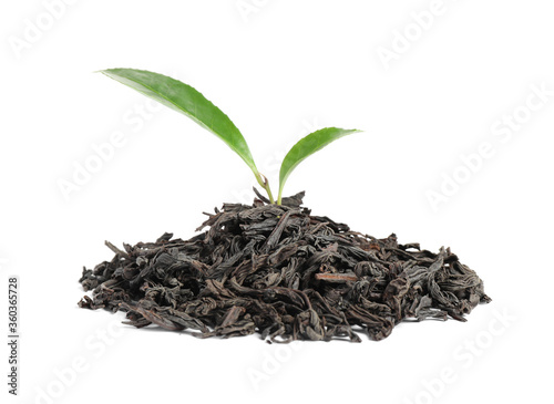 Fresh and dry leaves of tea plant on white background