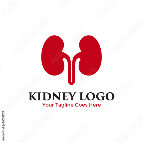 Kidney logo vector. Urology logo design template.