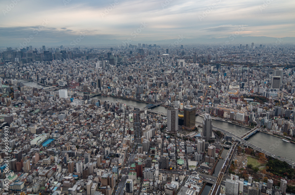 Tokyo city spreads out  to the horizon at dusk, the vast metropolis as viewed from the Skytower