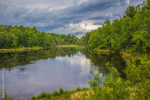 lake and forest