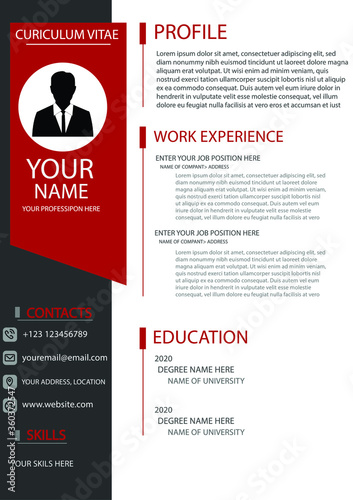 red color full customized creative and modern curriculum vitae design vector template bio data template