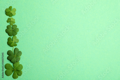 Clover leaves on green background, flat lay with space for text. St. Patrick's Day symbol