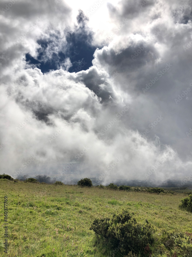 meadows on the slopes of Haleakala meadows on the slopes of Haleakala