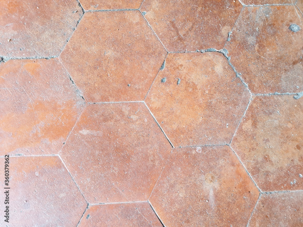 Path from paving slabs
