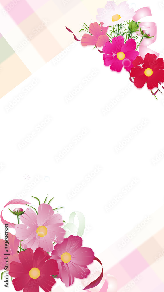 コスモスの花束とリボンのワイドバーチャル背景素材縦型
