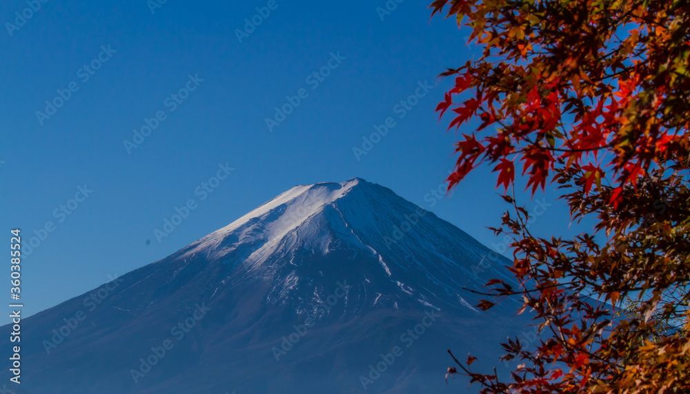 Autumn at Mt.Fuji