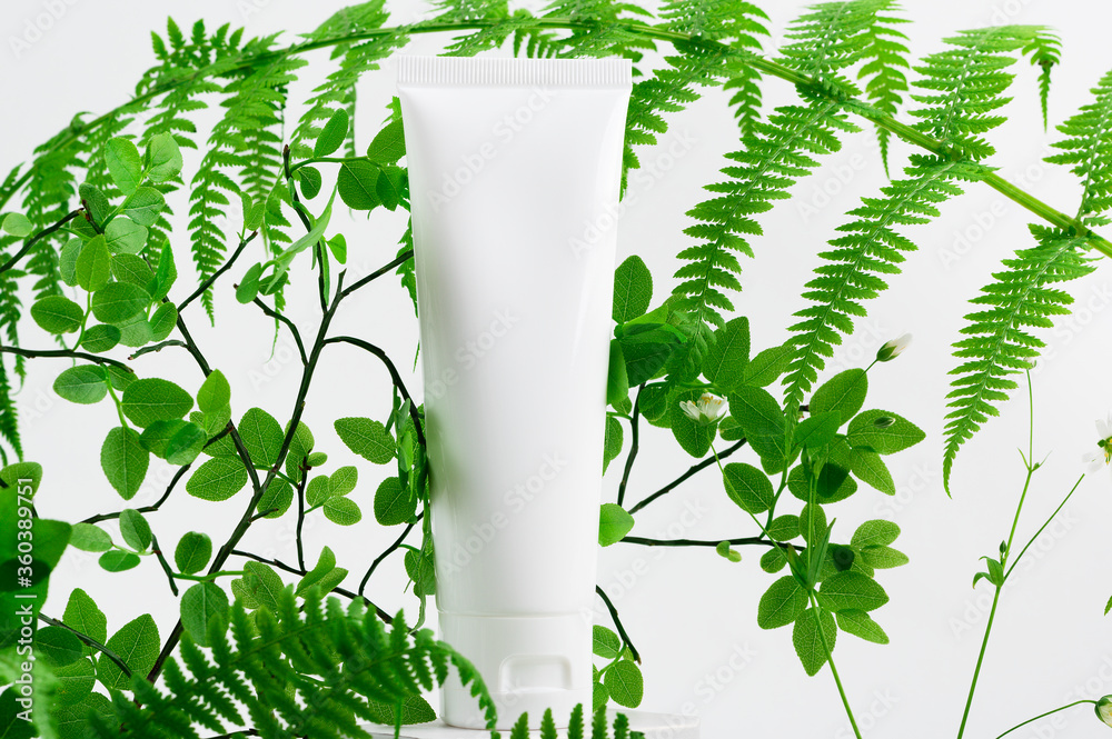 Container for lotion or toiletry. Unbranded flacon on stand. Forest fern leaves on light background. Tube for professional cosmetics, copy space. Eco-friendly products concept. Isolated on white