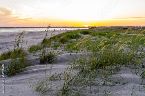 Fototapeta Naklejka Na Ścianę i Meble -  Beach Sunset with Grassy Dunes 1