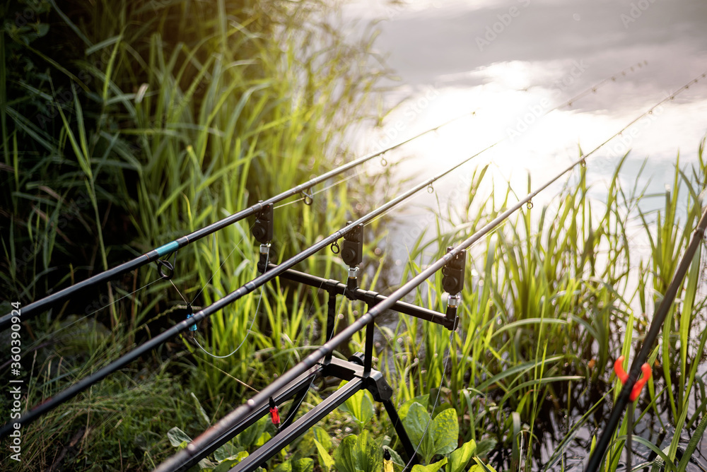Obraz premium Carp fishing rod pod with rods isolated.