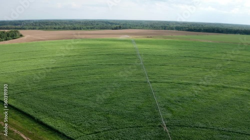 Aerial shot of a pivot sprinkler watering crops as the wind blows through them on a farm