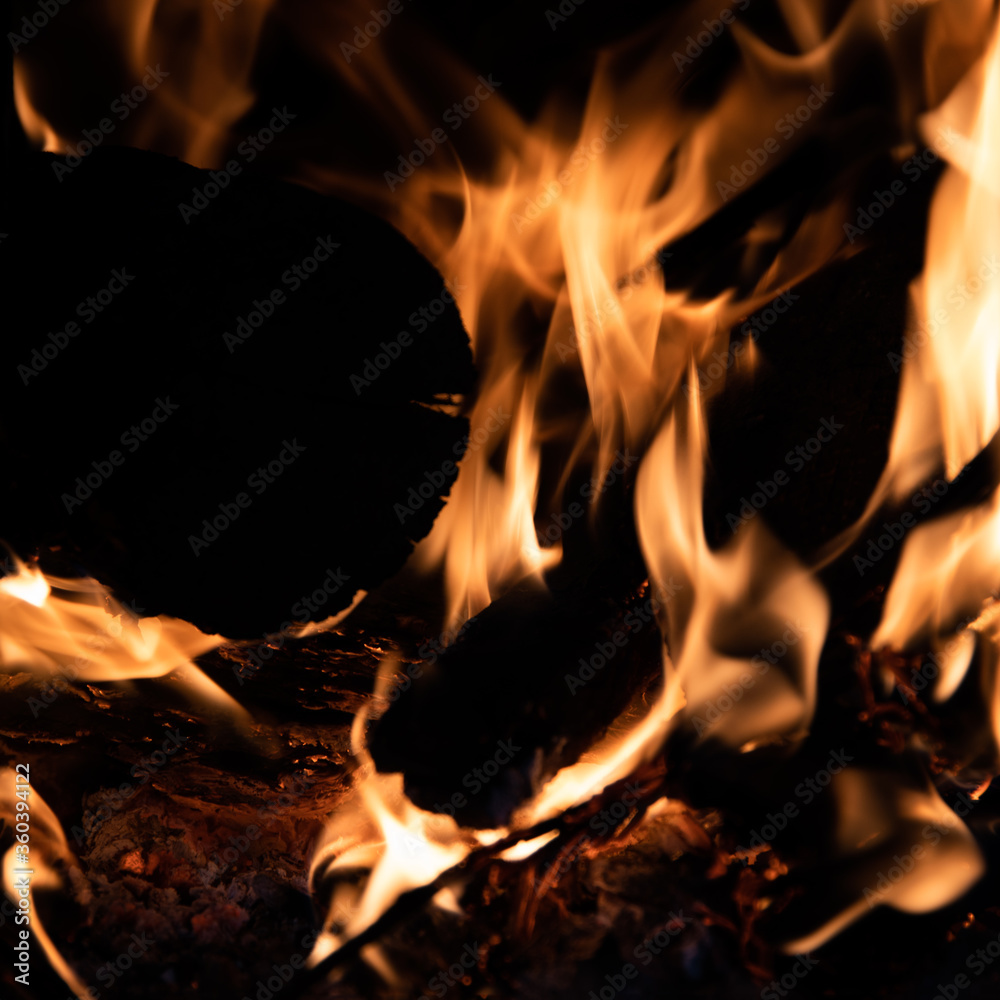 Close-up of a pile of burning wood with flames. Environmental concept Close-up of a pile of burning wood with flames. Environmental concept
