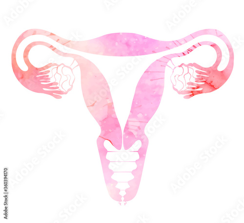 Pink silhouette anatomical uterus with watercolor splashes. Healthy female body. Woman power. Uterus with tube and ovaries. Vector illustration for articles, banners, icon, logo and your design.