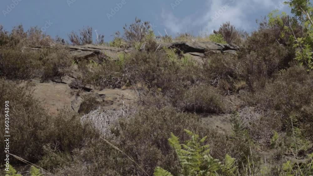 Rocky terrain landscape against sky panning shot Rocky terrain landscape against sky panning shot