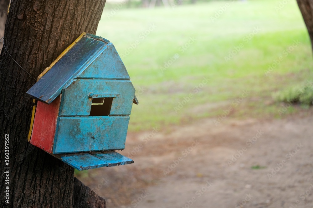 bird house on a tree