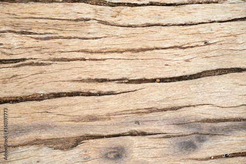 Old Wood texture for Background.
