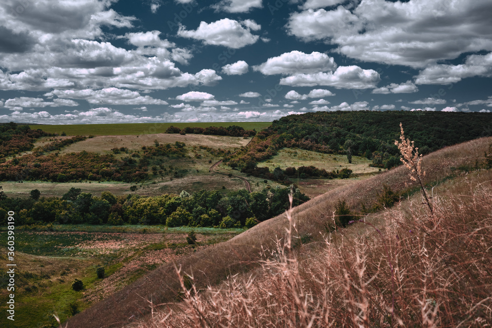 Naklejka premium Panoramic landscape of central Russia agricultural countryside with hills and country road. Summer landscape of the Samara valleys. Russian countryside.