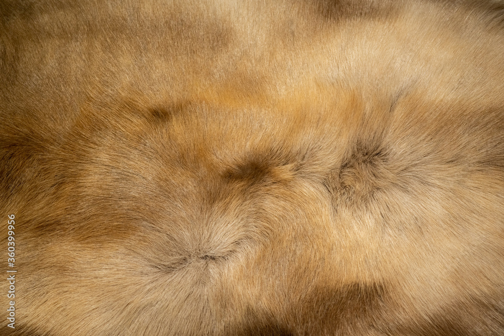 Reindeer hair, dark brown wool mixed with orange And there is a beautiful wave pattern Looks soft, pleasant to the touch.